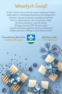 stylish snowflakes background for christmas holiday season